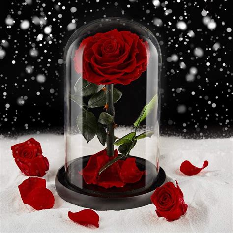 glass rose amazon|roses enclosed in glass.